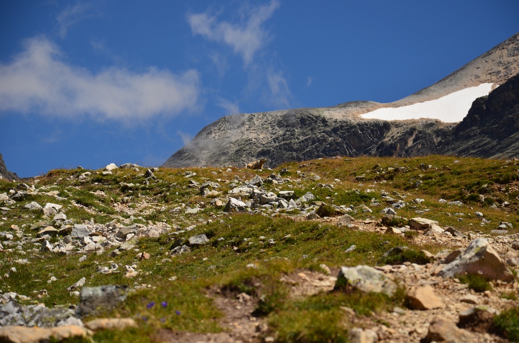 2015-07 Savoie/Orgère/DSC_0324.JPG